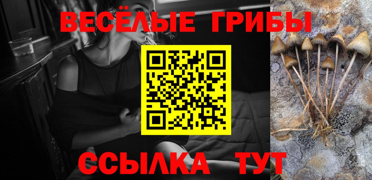 Псилоцибиновые грибы GOLDEN TEACHER  Родники  Псилоцибиновые грибы ЛСД 